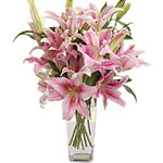 Pink lilies are timeless. By sending this 10 stems...