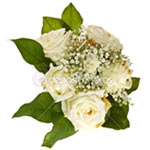 Bunch of 7 white roses isolated on a white background....