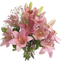 A fully charged bouquet of pink lilies that sings out with romance and life and ...