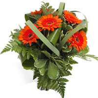 A great pick me up bouquet of bright orange Gerberas, folded tropical leaves and...
