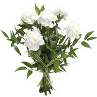 Send a simple and sensitive sentiment with this white and airy carnation bouquet...