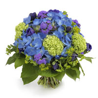 A absolutley captivating bouquet of brilliant blue hydrangeas! They are subtly p...