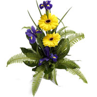 A simple and jubilant bouquet of featured yellow Gerberas supported by deep blue...