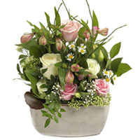 An alluring pink and white rose arrangement which has character with a tone of g...