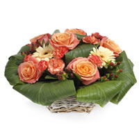 A smooth and sensual combination of champagne Gerberas, orange carnations and or...