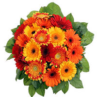 A round bottom colorful bouquet of orange energy germini. Suitable for many occa...