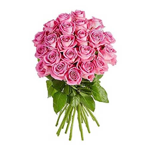 24 Pink Roses Bunch