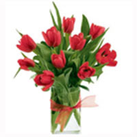 Elegant bouquet of red tulips is perfect for any o......  to Noviy Urengoy