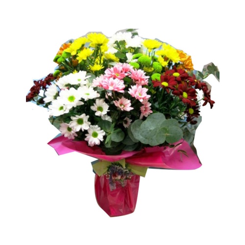 This charming bouquet of daisies is a colorful nat...