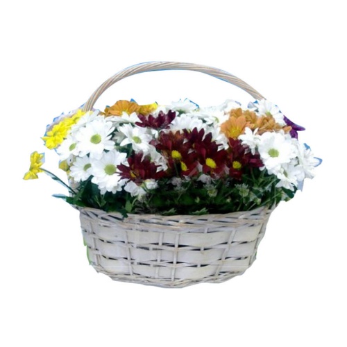 Give the gift of color with this beautiful daisy a...
