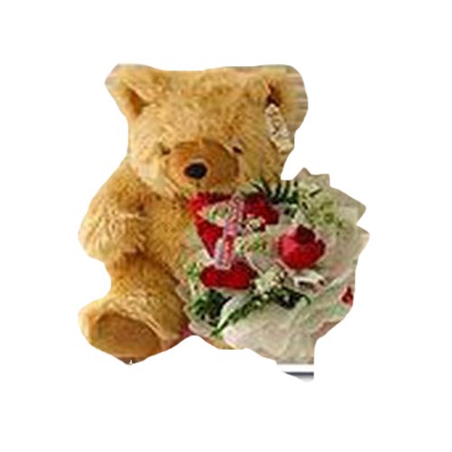 This teddy bear is not for you. Its for your beau ...