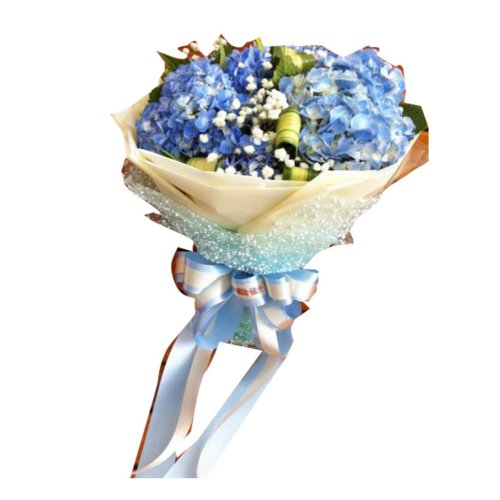 Send fresh, long-stemmed blue and white florals in...