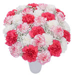 Deliver your love to your dear ones by sending them this Charming Bouquet of 30 ...