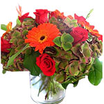This lovely bunch is made of bright gerberas nestle together with dark green lea...