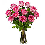 There is nothing like Pink Roses to show your true feelings. Send these 11 Roses...