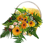 These peach coloured gerberas and white Roses shows purity of your heart to the ...