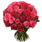 Send Flowers To Algeria