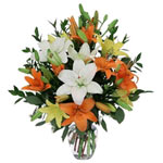 Wonderful arrangement of mixed lilies whit a vase...