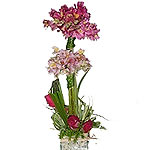 Delicate flower arrangement composed by:<br>- 4 Roses<br>- 2 bouquets of astrome...