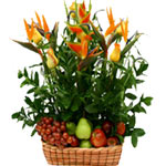 A very simple, new and elegant arrangement.<br>- Five birds of paradise<br>- Six...