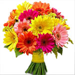 Need a simple yet effective 'Thank You', 'Congratu......  to launceston_florists.asp