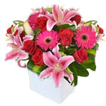 Fresh flower arrangements do not come much more ma......  to flowers_delivery_launceston_australia.asp