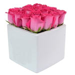 The Rose Cube Pink 16 is one of the beautiful new ......  to flowers_delivery_canberra_australia.asp