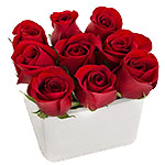 The Rose Cube is the newest addition to the Roses ......  to flowers_delivery_logan_australia.asp