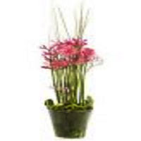 A fresh arrangement in pink in a glass vessel with rosaf. Rosaf gerbera. Nerine ...