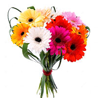 Color: Colorful<br>All our bouquets are shipped fresh from our florist. Bound, t...