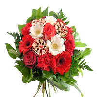 Color: white - red<br>When the flowers have withered, and on the mountains is th...