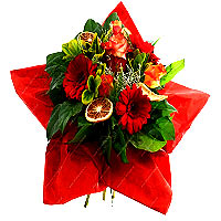 Colour: Orange<br>An intense orange flowers distinguishes this Advent, he is tie...