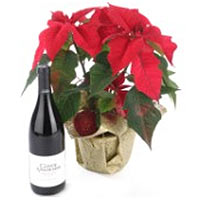 Poinsettia Plant and Red Wine