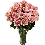 Tender Surprising Bunch of Pink Roses