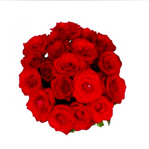 Send a treat to any flower lover by gifting this 1......  to manaus_brazil.asp