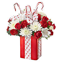 The Holiday Cheer Bouquet year after year is one o......  to saskatoon_florists.asp