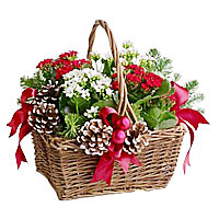 For a truly charming gift this New Year, send a ga......  to flowers_delivery_whitehorse_canada.asp