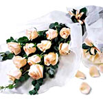 A rose is a rose is a rose.. times twelve. Twelve ......  to flowers_delivery_kamloops_canada.asp