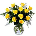The perfect way to brighten their day. A dozen ros......  to amqui_florists.asp