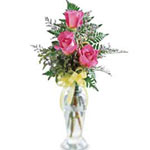 When you want to say I'm thinking of you, a small ......  to saguenay_florists.asp