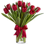 Beautiful and simply said red tulips are a hip way......  to victoria_florists.asp