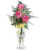 When you want to say I'm thinking of you, a small ......  to leduc_florists.asp
