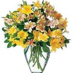 Like stars in the sky, these bright alstroemeria r......  to london_florists.asp