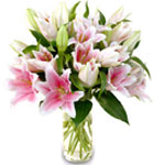 Lovely and fragrant Stargazer lilies are a wonderf......  to flowers_delivery_winnipeg_canada.asp