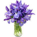 Send a spectacular spring showing with our Iris bo......  to sault ste. marie_florists.asp