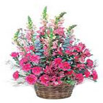This mixed pink arrangement of alstroemeria, carna......  to gatineau_florists.asp