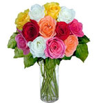 Send this gift of Delightful X- Mas Love Dozen Mix......  to la serena_florists.asp