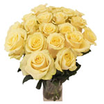 Send this lovely gift of Radiant Vase of 18 Yellow......  to flowers_delivery_villa alemana_chile.asp
