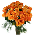 Celebration special wishes are best delivered by g......  to villa alemana_florists.asp
