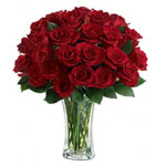 Gift someone you love this Radiant Blast of Red Ro......  to chillan_florists.asp